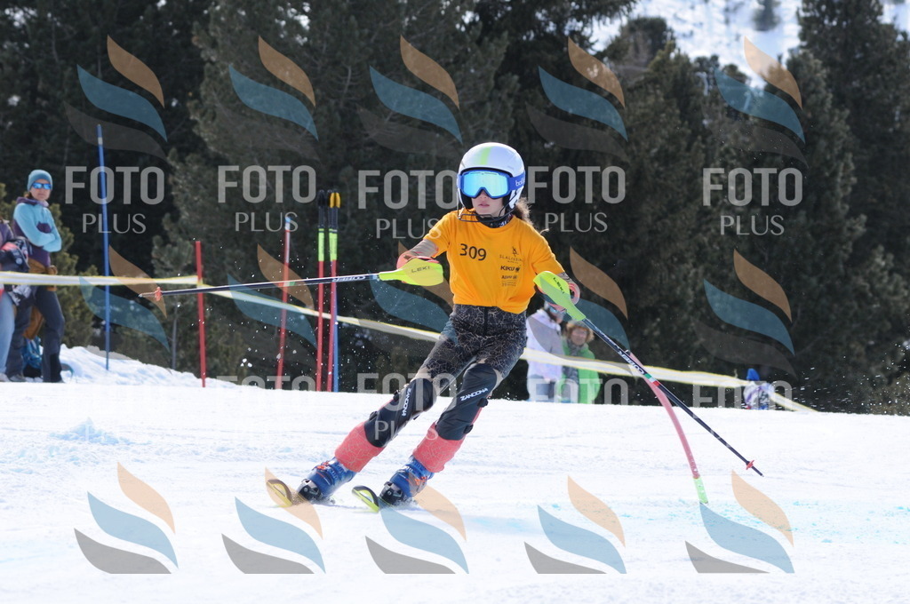 C9172 | holidayphoto