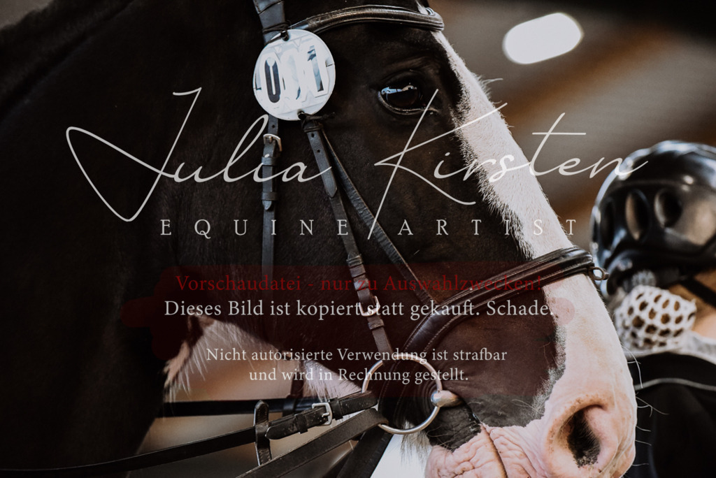 DSC_6839 | Pferde- und Turnierfotografie in Westsachsen. Pferdeportraits, Auftragszeichnungen und intuitive Kunst.