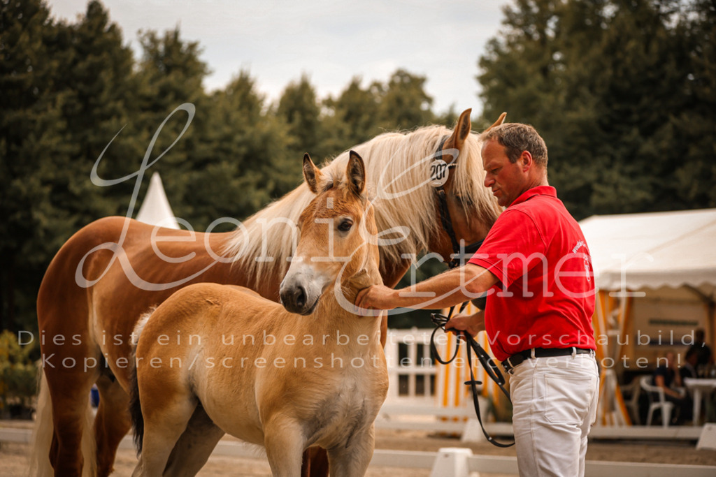 SaSF00045 | Leoni Ertmer Photography - Realisiert mit Pictrs.com