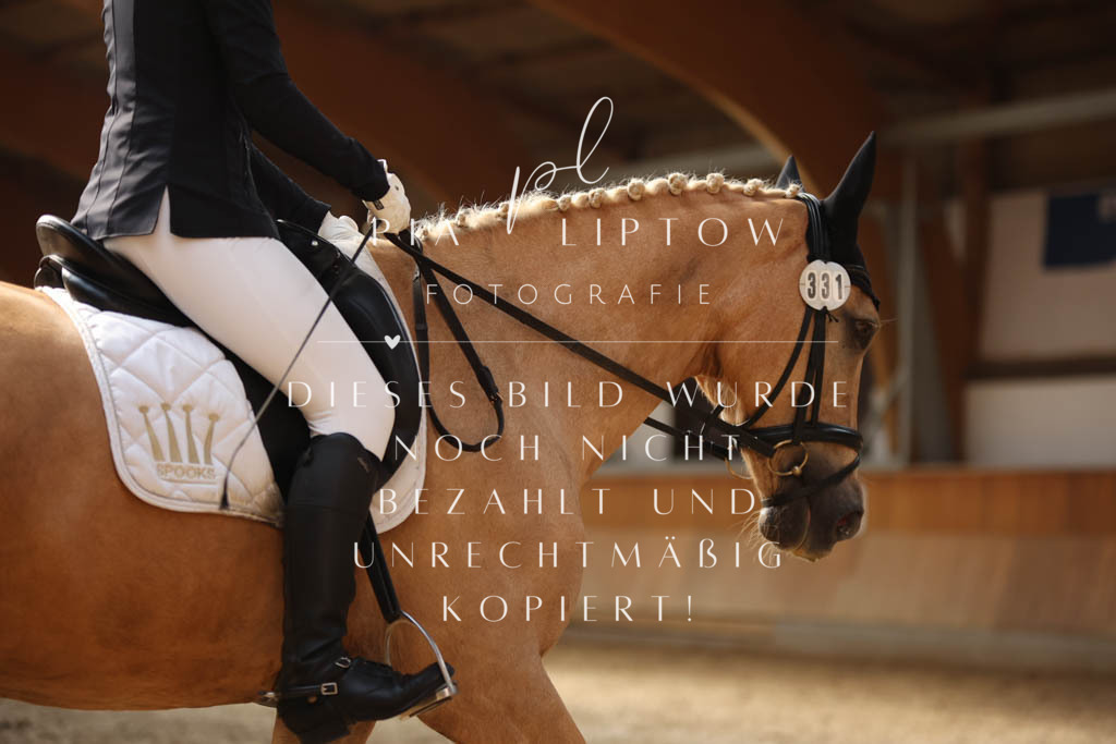 IMGS2758 | pl-fotografie