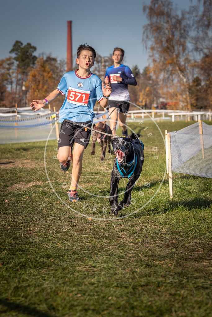 CaniXpix_0L8A8065 | Hundefotografie, Tierfotograf, Pfotenfotografie, Fotoshooting Hund, Hunde Portrait, Hundesport, Hundeportraits, Heideshooting, Hunde, Sportfotograf, Hundefotograf, Turnierhundsport, THS,  - Realisiert mit Pictrs.com