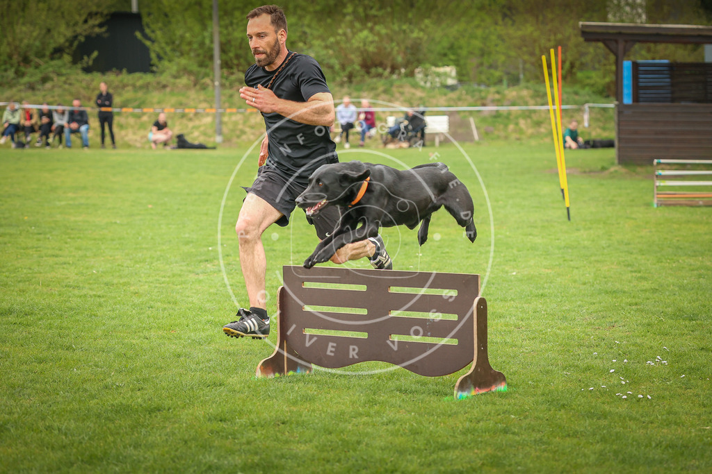 Pfotenfotografie_0L8A0371 | Hundefotografie, Tierfotograf, Pfotenfotografie, Fotoshooting Hund, Hunde Portrait, Hundesport, Hundeportraits, Heideshooting, Hunde, Sportfotograf, Hundefotograf, Turnierhundsport, THS,  - Realisiert mit Pictrs.com