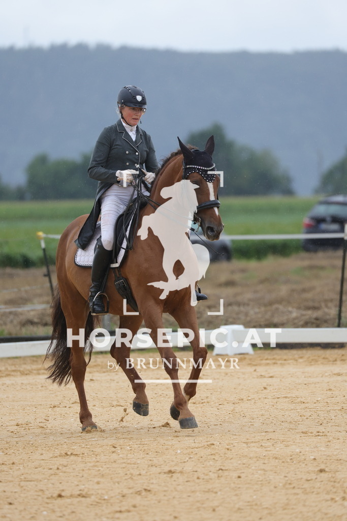 0P6A0861 | Willkommen bei Brunnmayr - Design & Fotografie – Ihrem Spezialisten für Reitturniere und Pferdeveranstaltungen in Oberösterreich, Salzburg und Bayern! Seit über 17 Jahren sind wir leidenschaftlich dabei.