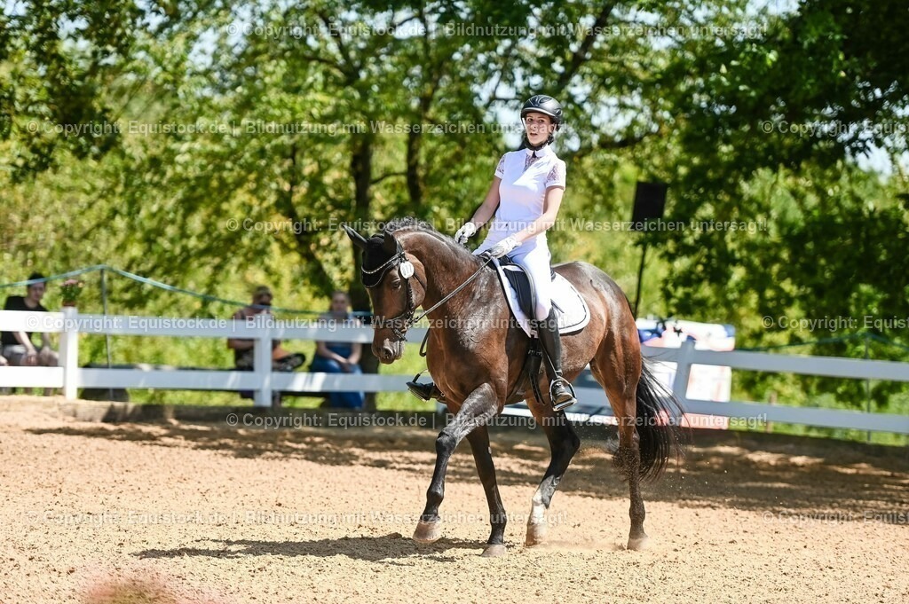20230715_02_Dressurreiterprüfung Kl.L_0068 | equistock