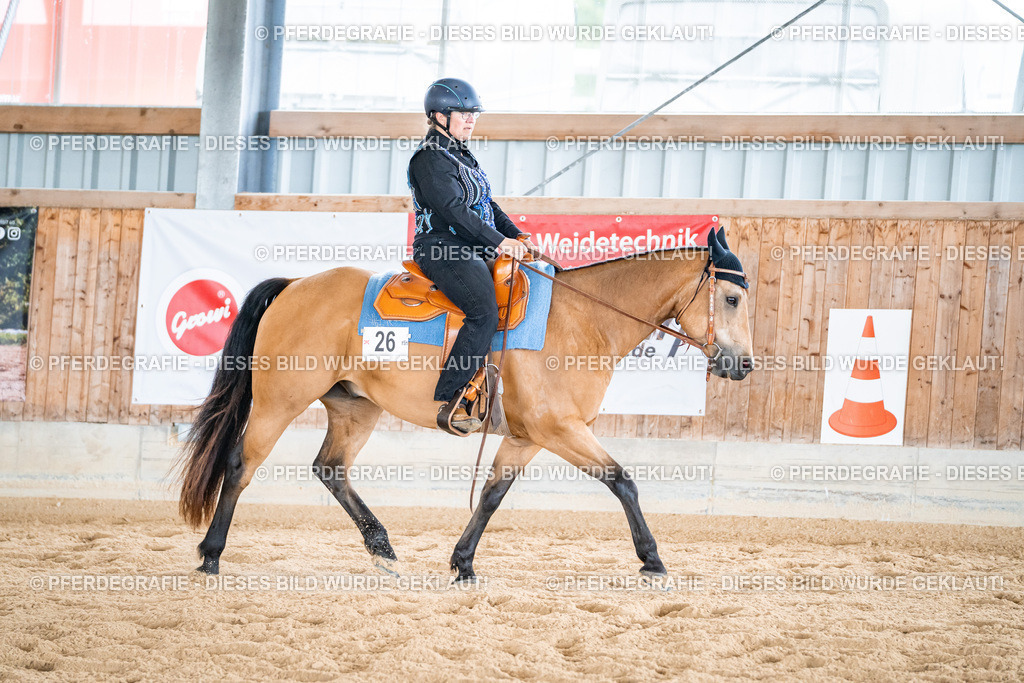 DSC02340 | Pferdegrafie