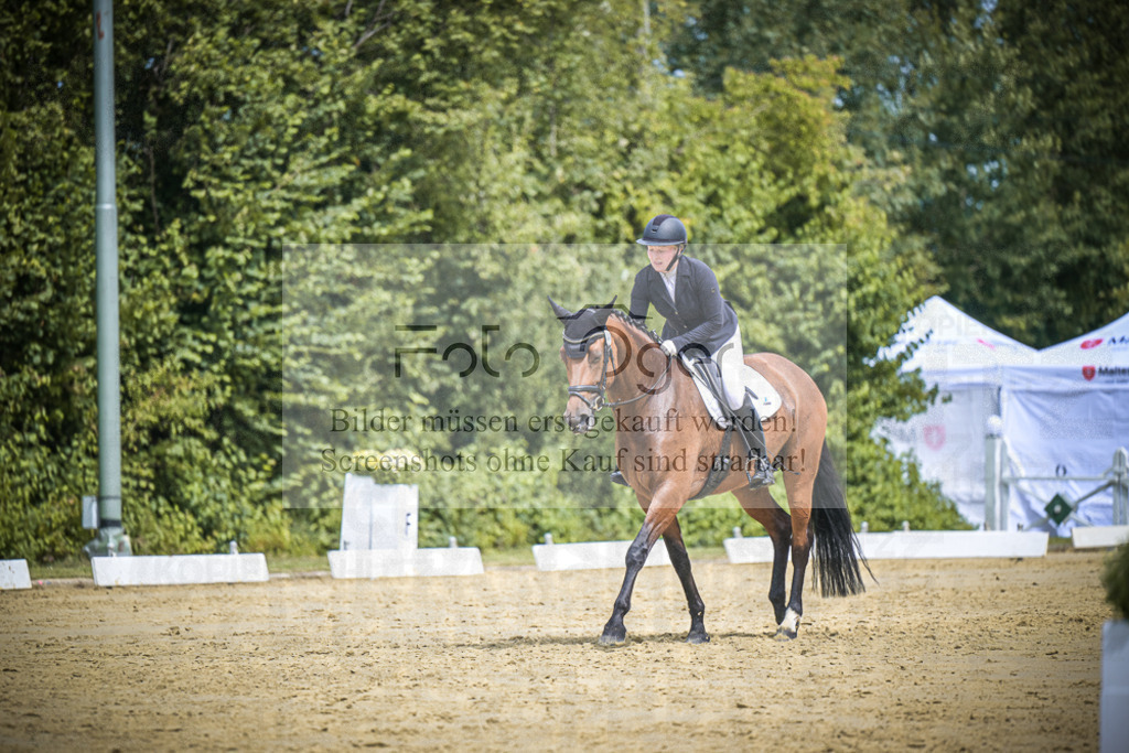 DOS_4049 | Entdecke hochwertige Reitturnierfotos von Foto Oger. Professionell, emotional und authentisch – jetzt Lieblingsmomente im Shop bestellen.Deutschlandweite Turnierfotografie. - Realisiert mit Pictrs.com