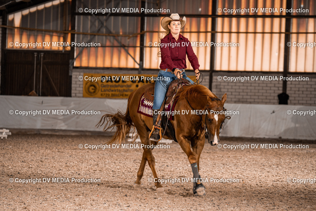 ZH300284 | dv-media-shop - Realisiert mit Pictrs.com