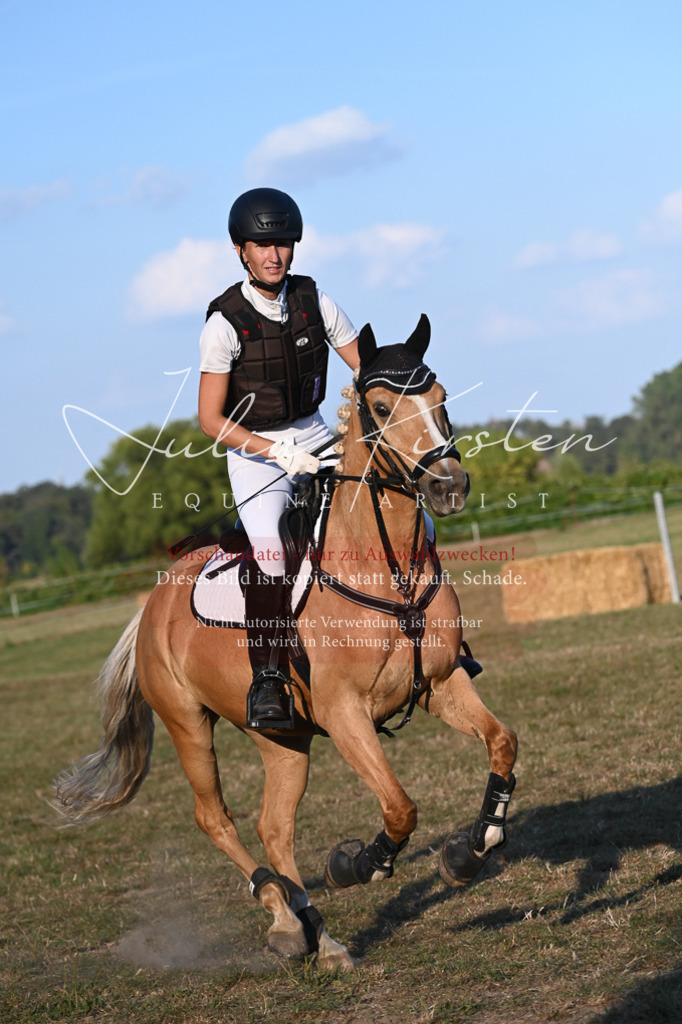 DSC_9242 | Pferde- und Turnierfotografie in Westsachsen. Pferdeportraits, Auftragszeichnungen und intuitive Kunst.