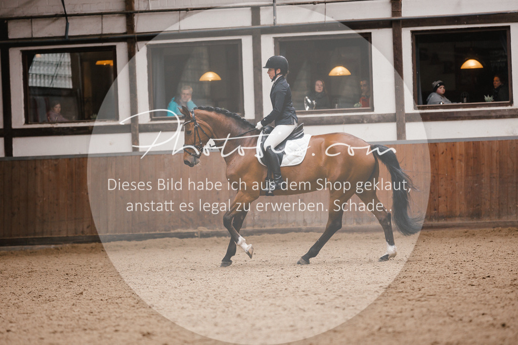 3I6A7445 | Stimmungsvolle Portraits und Reitsportfotografie im Ruhrgebiet und im Münsterland.

Pferdefotografie, Hundefotografie, Tierfotografie, Reportagen, Portraits von Tier und Mensch, Turnierfotografie in Bochum, Recklinghausen, Marl, Haltern am See, Dülmen.. - Realisiert mit Pictrs.com
