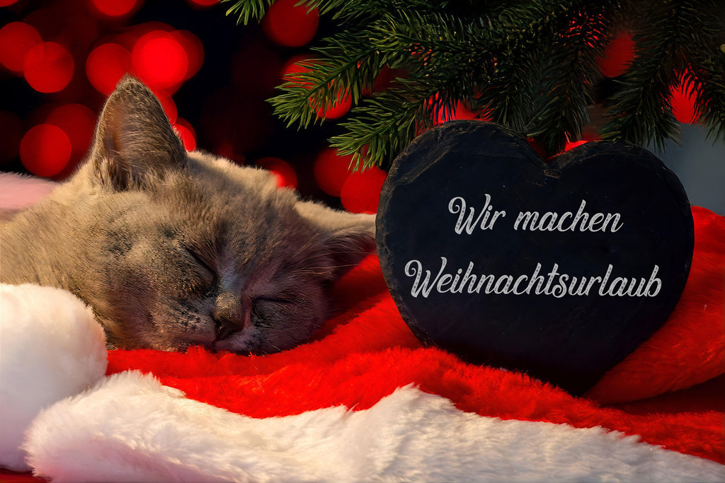 WIR MACHEN WEIHNACHTSURLAUB | Weihnachtsgrüße: Herz mit der Aufschrift WIR MACHEN WEIHNACHTSURLAUB neben einem Katzenbaby - Realisiert mit Pictrs.com