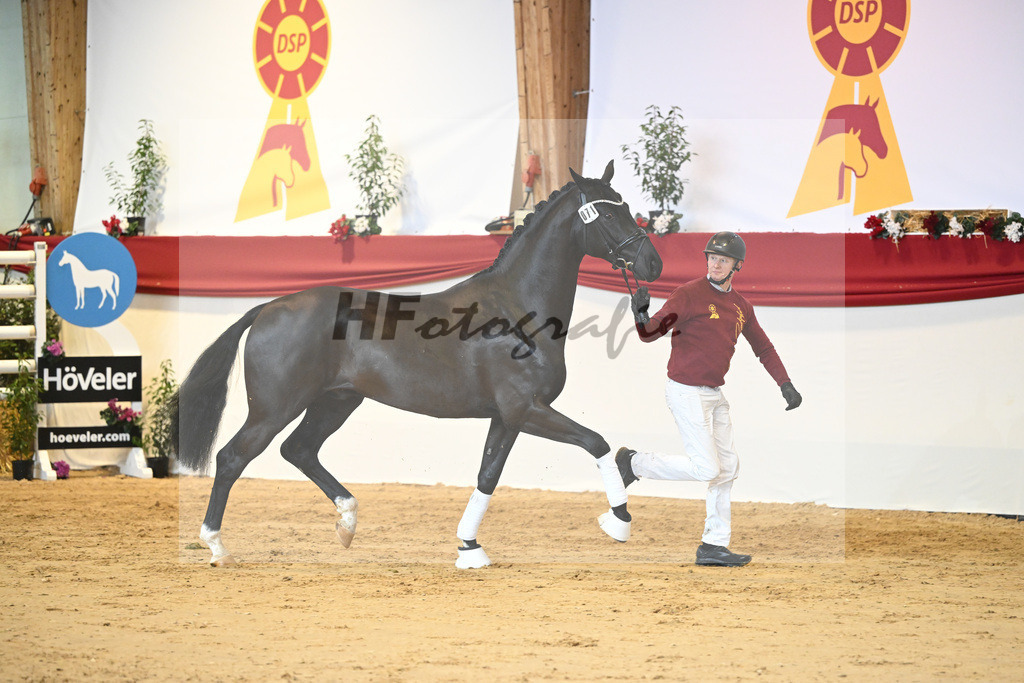 Kat-Nr. 71 Toto jr_Winklmaier_1231482 | hf-fotografie - Realisiert mit Pictrs.com