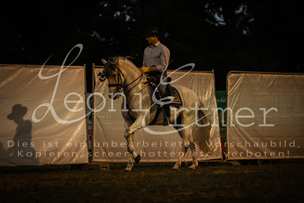 SaShow00277 | Leoni Ertmer Photography - Realisiert mit Pictrs.com