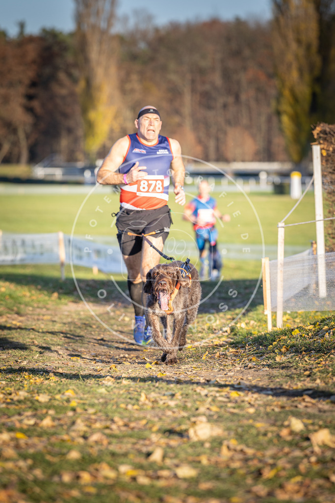 CaniXpix_DV3A4290 | Hundefotografie, Tierfotograf, Pfotenfotografie, Fotoshooting Hund, Hunde Portrait, Hundesport, Hundeportraits, Heideshooting, Hunde, Sportfotograf, Hundefotograf, Turnierhundsport, THS,  - Realisiert mit Pictrs.com