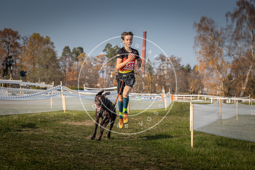 CaniXpix_0L8A9455 | Hundefotografie, Tierfotograf, Pfotenfotografie, Fotoshooting Hund, Hunde Portrait, Hundesport, Hundeportraits, Heideshooting, Hunde, Sportfotograf, Hundefotograf, Turnierhundsport, THS,  - Realisiert mit Pictrs.com