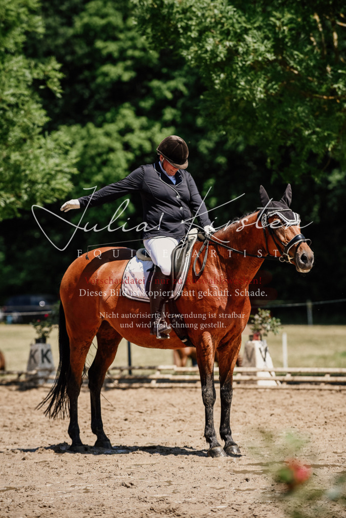 DSC_2033 | Pferde- und Turnierfotografie in Westsachsen. Pferdeportraits, Auftragszeichnungen und intuitive Kunst.