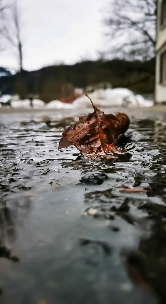 PSX_20210630_223237 | mtkfoto_ - Realisiert mit Pictrs.com