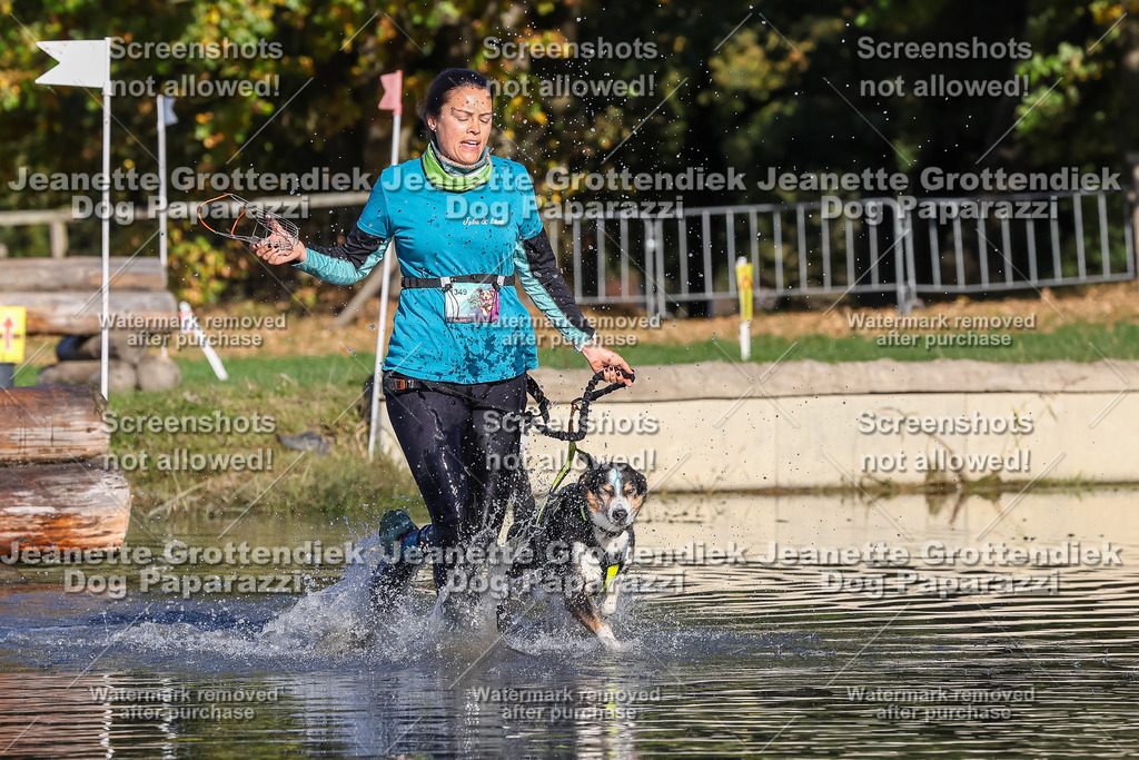 Dog Paparazzi - Strongdog 10-25-8738 | Dog Paparazzi Jeanette Grottendiek Fotografie & Videografie - Realisiert mit Pictrs.com