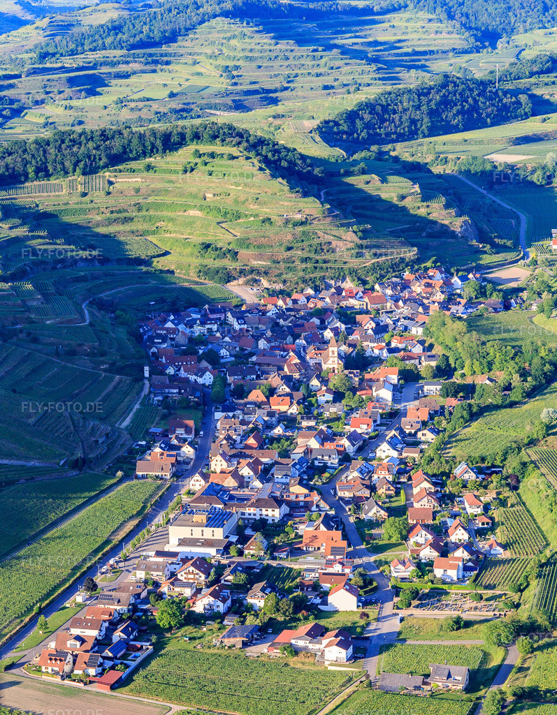 Luftbild: Winzerdorf im Kaiserstuhl aus Südwesten im Ortsteil Achkarren in Vogtsburg im Bundesland Baden-Württemberg in Deutschland. Foto: IMG_147867.jpg vom 30.05.2025 durch Werner Riehm/FLY-FOTO.de