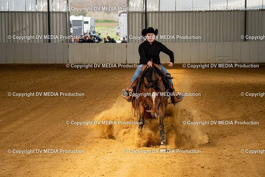 MIT00305 | dv-media-shop - Realisiert mit Pictrs.com