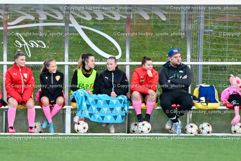 Liwodruck Carinthians Hornets vs. FK Austria Wien Frauen 19.11.2023 | Spielerbank Carinthians Hornets, #44 Elena Ciccarelli, #32 Laura Reiter, #13 Marie Lessacher, #28 Patricia Bognar, #12 Larissa Lea Kassin, Sportlicher Leiter Carinthians Hornets Thomas Fian, Maskottchen Carinthians Hornets Rosaroter Panther