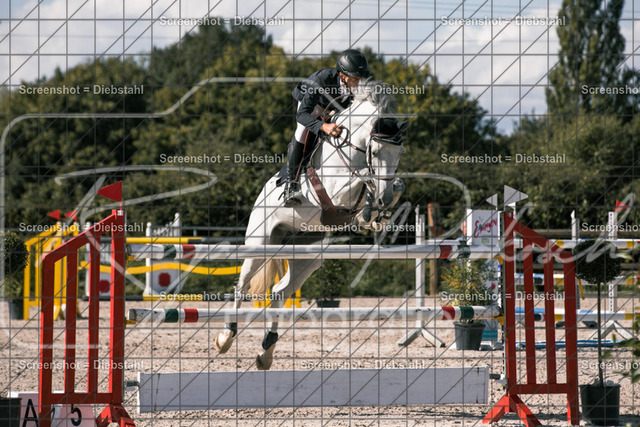 _W6A1011 | ronjaprokoschfotografie - Realisiert mit Pictrs.com