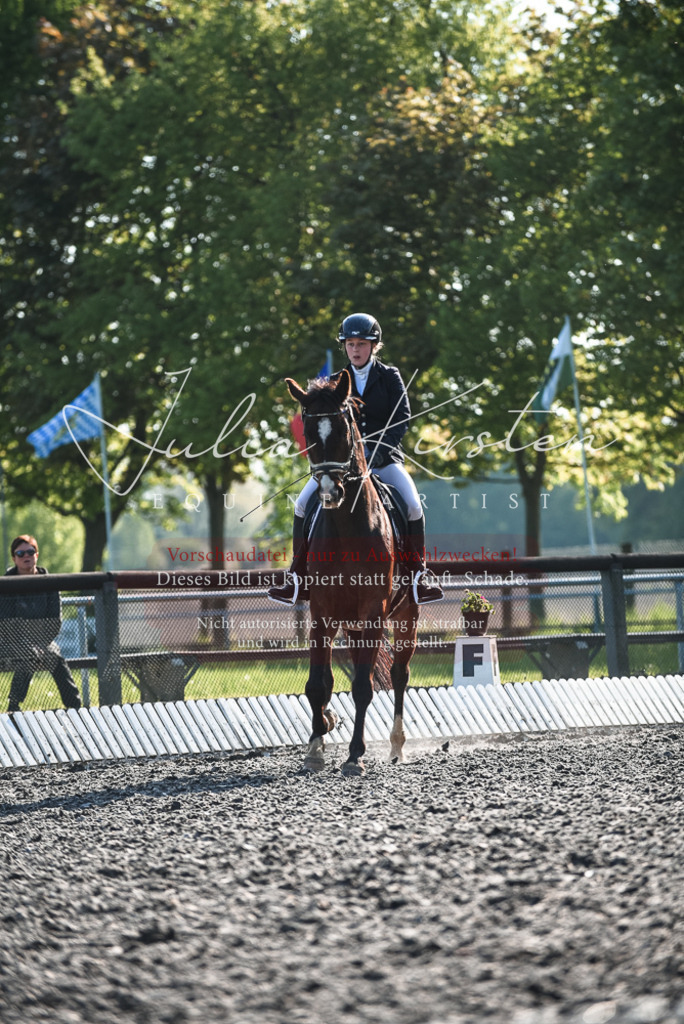 DSC_8283 | Pferde- und Turnierfotografie in Westsachsen. Pferdeportraits, Auftragszeichnungen und intuitive Kunst.