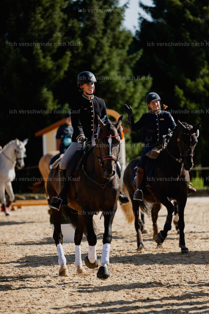 Virginie12FHC2025-27787 | working equitationturnier fotograf videograf stoibphotography marixx film working equitation deutschland reitsport turnierfotografie eventfotografie equestrian events