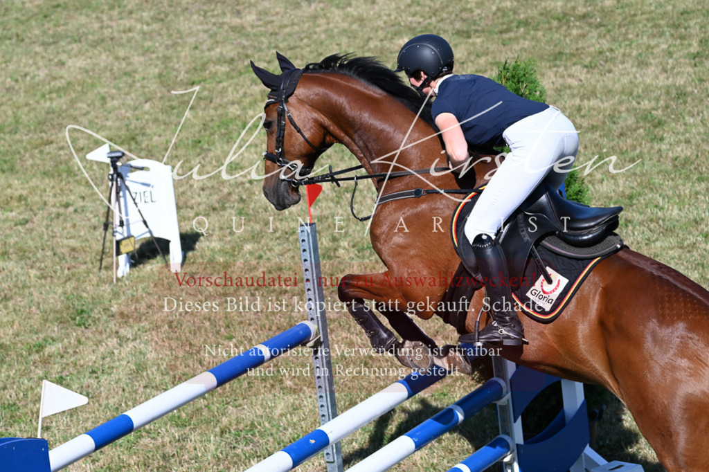 DSC_2196 | Pferde- und Turnierfotografie in Westsachsen. Pferdeportraits, Auftragszeichnungen und intuitive Kunst.