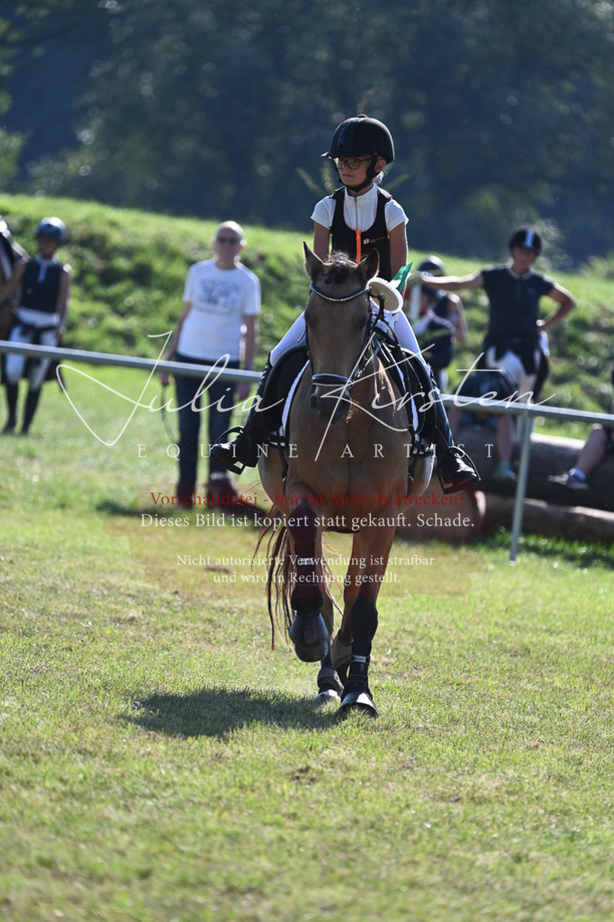 DSC_5394 | Pferde- und Turnierfotografie in Westsachsen. Pferdeportraits, Auftragszeichnungen und intuitive Kunst.