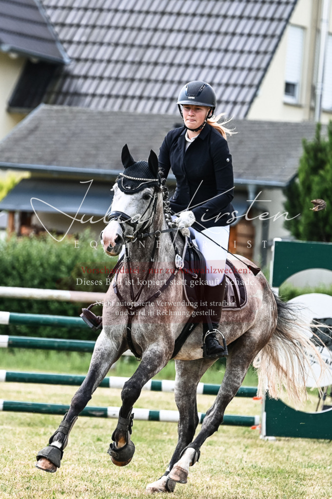 DSC_8926 | Pferde- und Turnierfotografie in Westsachsen. Pferdeportraits, Auftragszeichnungen und intuitive Kunst.