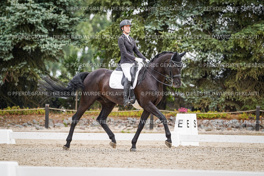 DSC04249 | Pferdegrafie