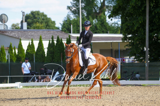 DKP43072 | Turnierfotos kaufen im Webshop von Daniel Kuhl Photography – entdecke professionelle Reitsportfotos aus Turnieren & Events. Hochwertige Turnierbilder online bestellen & sichern. Jetzt Fotos von Reitsportturnieren kaufen!