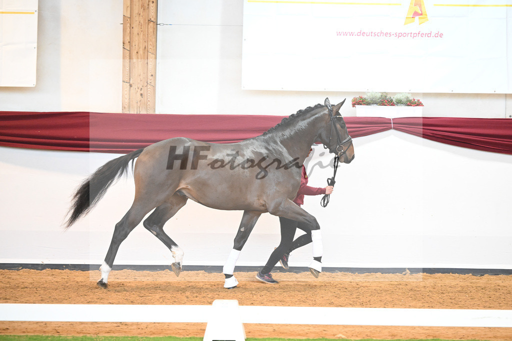 Kat-Nr. 43 v. Mykonos_Sommer_66220929 | hf-fotografie - Realisiert mit Pictrs.com