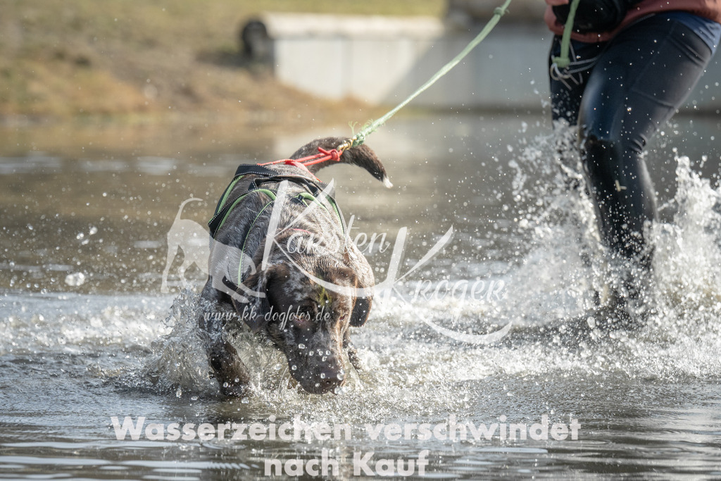 1036_ZZ98416 | kk-dogfotos