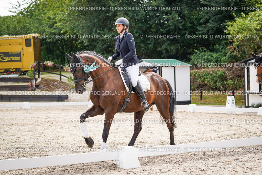 DSC02412 | Pferdegrafie