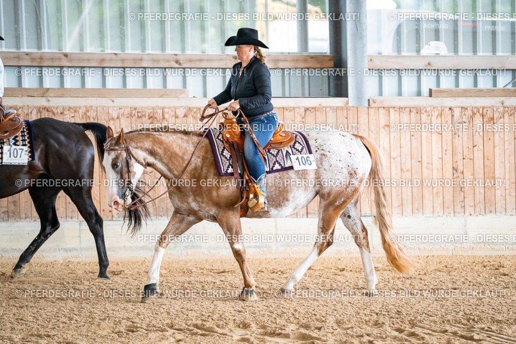 DSC09886 | Pferdegrafie