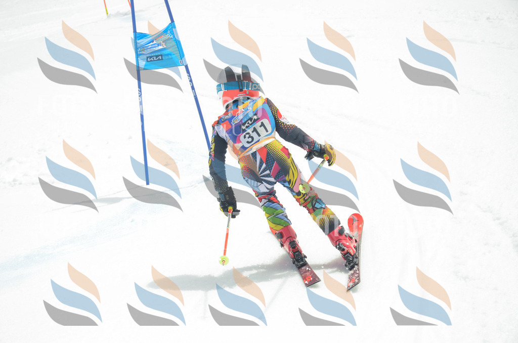 _ELE8408 | holidayphoto