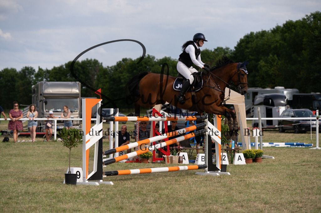 A7V02766 | Pferdefotograf