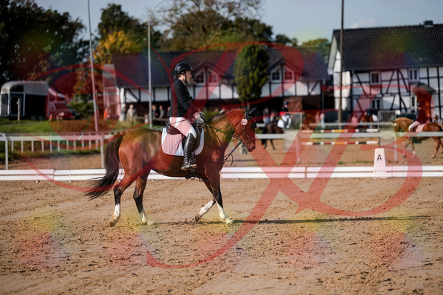 2026_10_03_Siefer-Hof_115508_Z63_30555311 | Professionelle Reitsport-, Turnier- und Eventfotografie von Robert Broda. Galerien mit ausgewählten und bearbeiteten Bildern direkt online ansehen und bestellen.