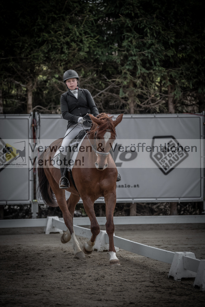 DSC_8930 | equestrian-live-com