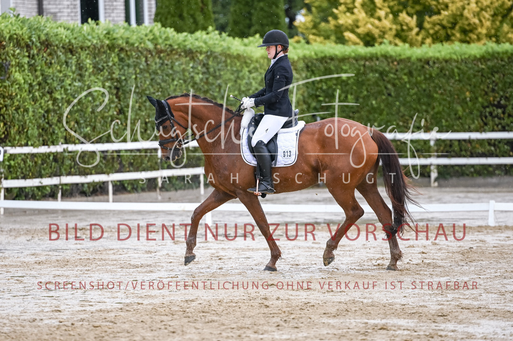 Schugtsche-Aluta25-55.Dressurreiterprf.L1Tr-246 | Schugtsche Fotografie - Realisiert mit Pictrs.com