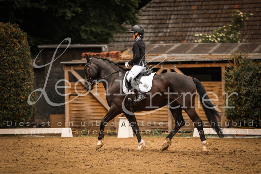 DoDrE00189 | Leoni Ertmer Photography - Realisiert mit Pictrs.com