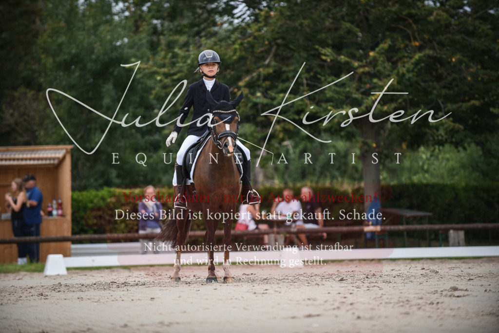 DSC_8176 | Pferde- und Turnierfotografie in Westsachsen. Pferdeportraits, Auftragszeichnungen und intuitive Kunst.