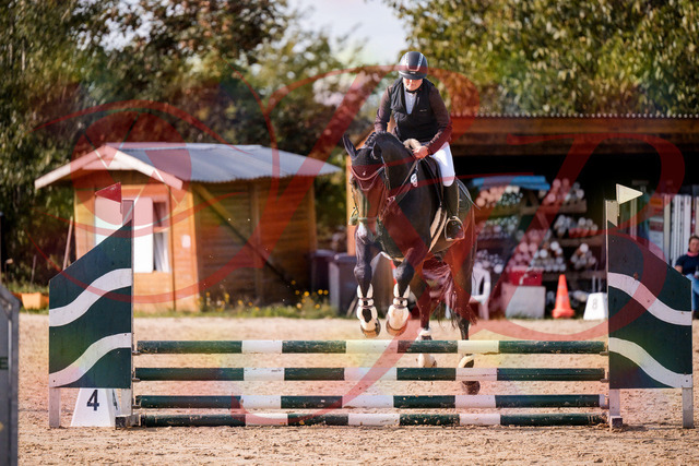 2026_10_03_Siefer-Hof_154324_Z81_61370203 | Professionelle Reitsport-, Turnier- und Eventfotografie von Robert Broda. Galerien mit ausgewählten und bearbeiteten Bildern direkt online ansehen und bestellen.