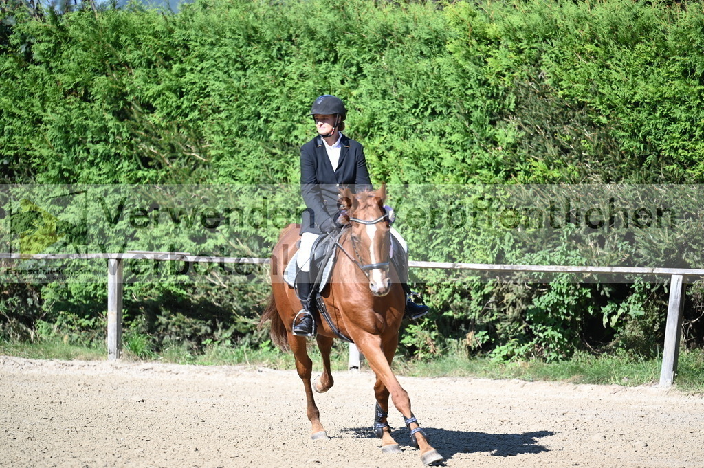 DSC_8071 | equestrian-live-com