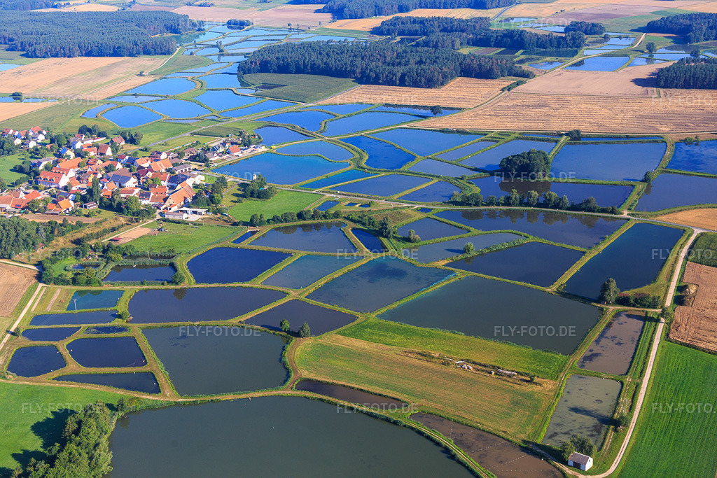 Luftbild: Karpfenteiche der Fränkischen Fischweiherlandschaft im Ortsteil Oberlindach in Weisendorf im Bundesland Bayern in Deutschland. Foto: IMG_092682.jpg vom 07.08.2016 durch Werner Riehm/FLY-FOTO.de