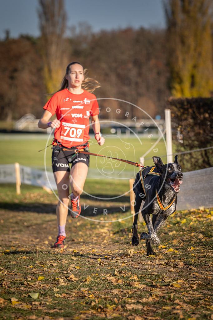 CaniXpix_DV3A1599 | Hundefotografie, Tierfotograf, Pfotenfotografie, Fotoshooting Hund, Hunde Portrait, Hundesport, Hundeportraits, Heideshooting, Hunde, Sportfotograf, Hundefotograf, Turnierhundsport, THS,  - Realisiert mit Pictrs.com