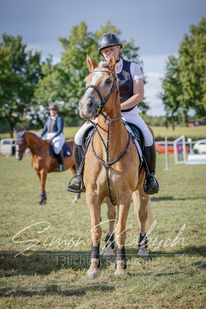 20250905-_3LI1414 | Tierfotografie Pferde, Hunde, Katzen, Haustiere.
Turnierfotografie Reitturniere, Reiten, Springreiten, Dressur in Hanau, dem Main-Kinzig-Kreis und dem Rhein-Main- Gebiet um Frankfurt