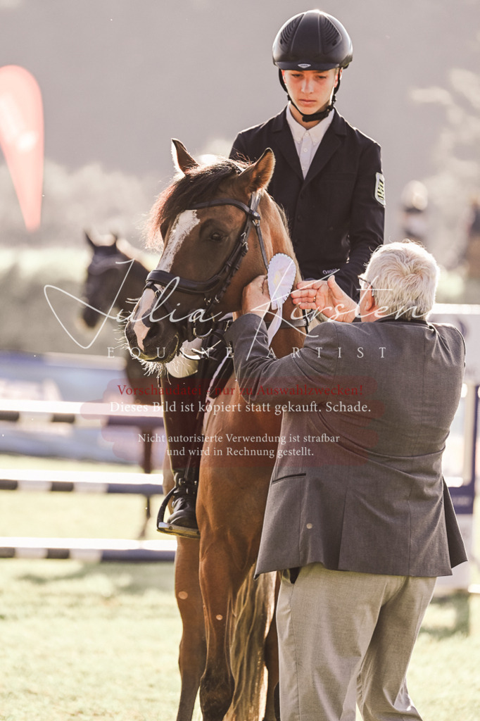 DSC_4602 | Pferde- und Turnierfotografie in Westsachsen. Pferdeportraits, Auftragszeichnungen und intuitive Kunst.