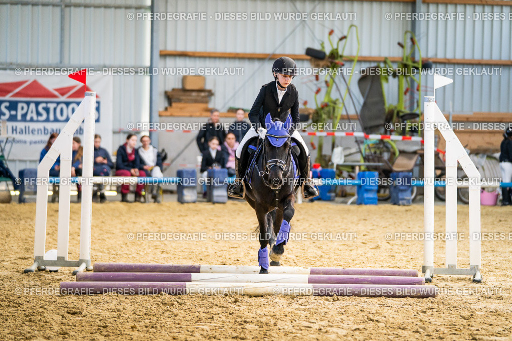 DSC02150 | Pferdegrafie